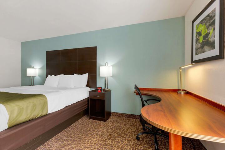 1 King Bed (11 of 30)