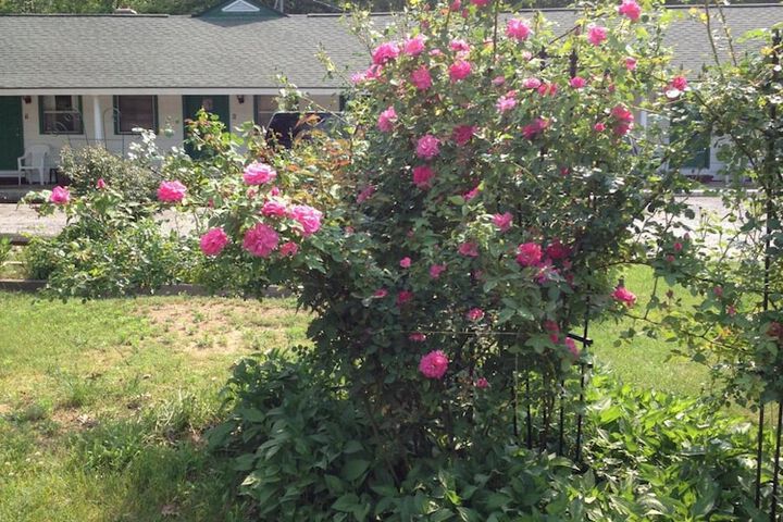 Property Grounds 22 of 37