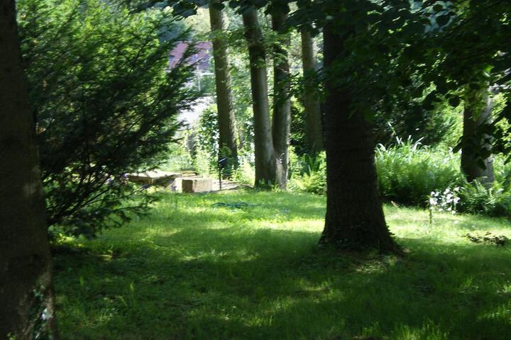 Property Grounds 29 of 35