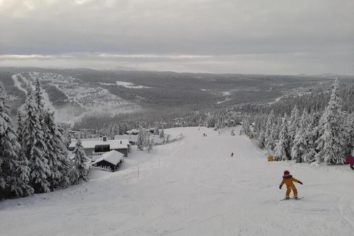 General 85 of 100