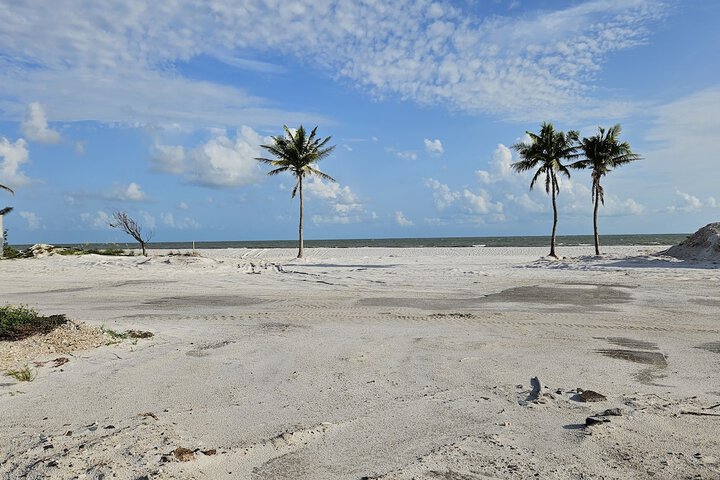 Beach 28 of 33