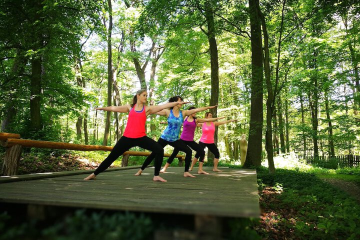Health and Fitness 23 of 83