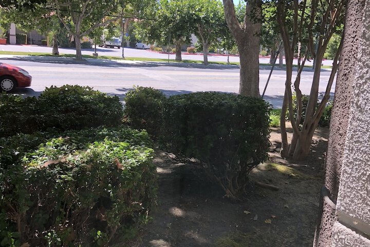 View from property