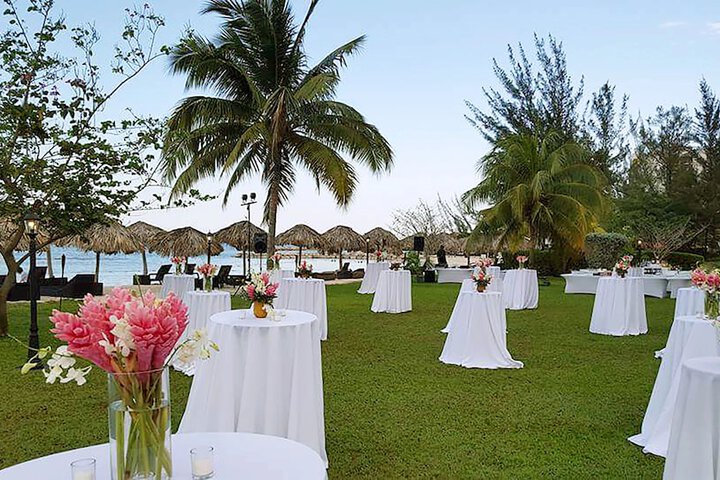 Wedding/Banquet 77 of 87