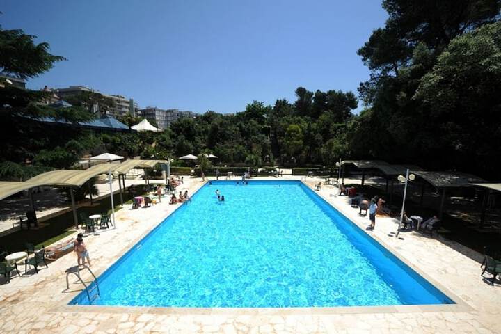 Pool 15 of 40
