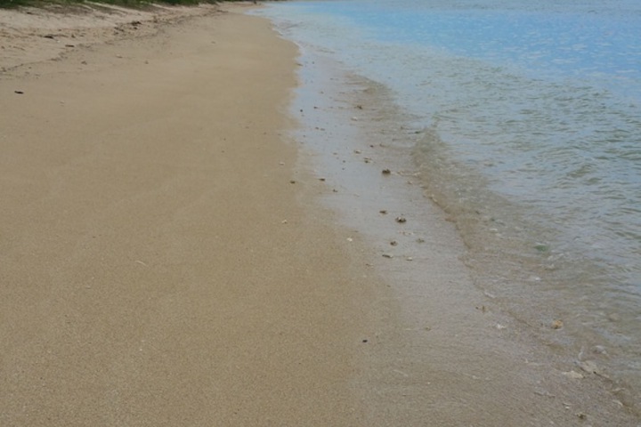 Beach 29 of 41