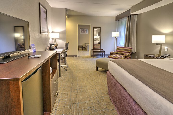 1 King Bed Refrigerator, Continental Breakfast (9 of 10)