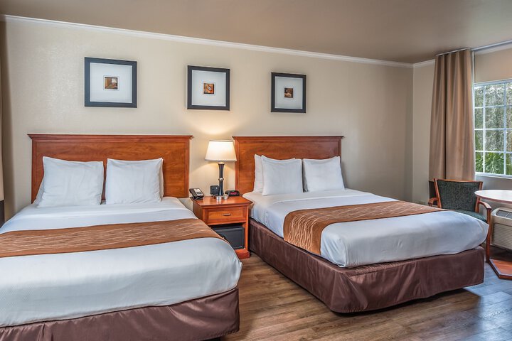Double Accessible King Size Bed (11 of 15)