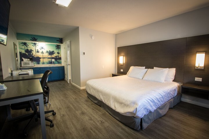 1 King Bed Pet Friendly Accessible (80 of 90)