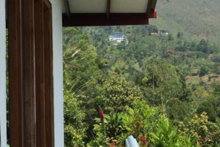 Eco Point Ella