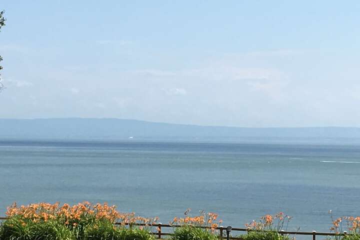 View from room