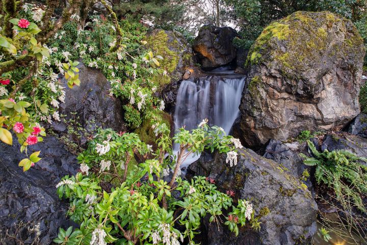 Garden view