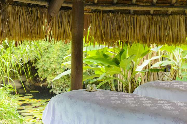 Wellness Treatments