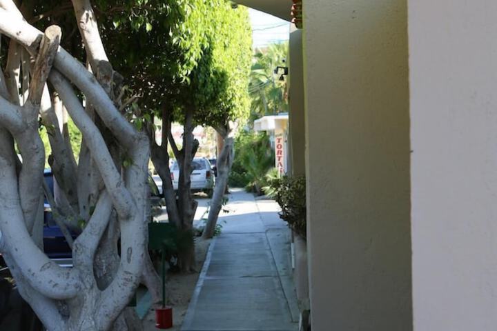 Property Grounds 29 of 49