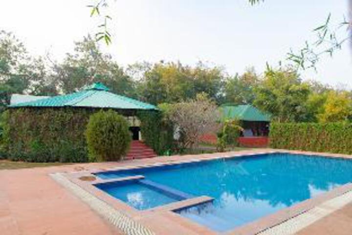 Jungle View Resort