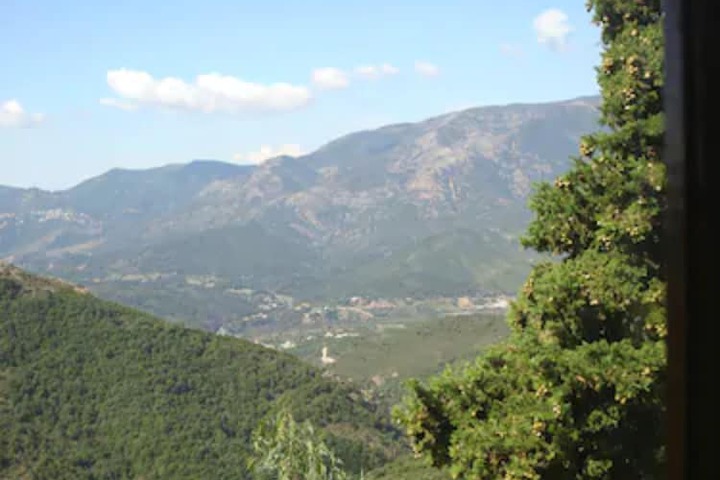 View from room