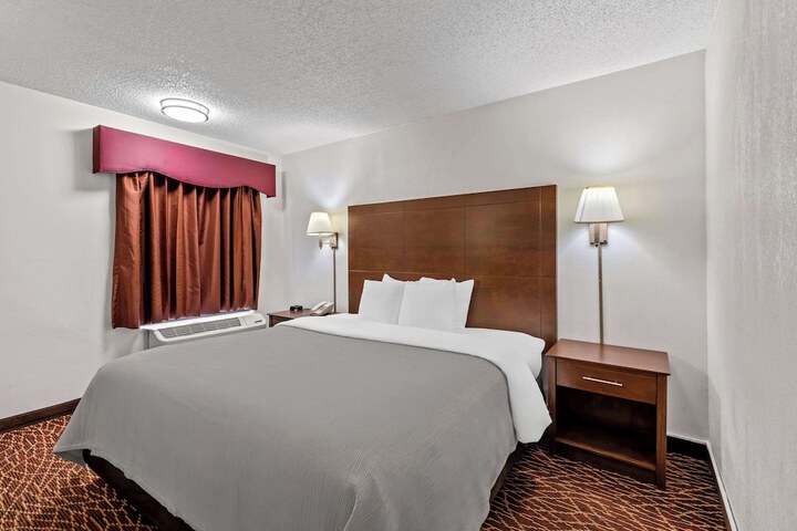 1 King Bed (8 of 15)