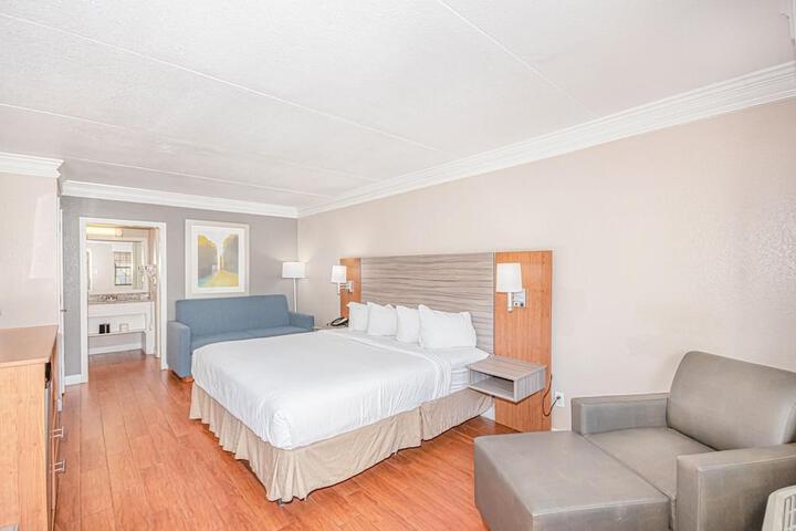 Room View