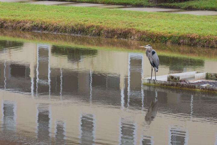 Property Grounds 18 of 18