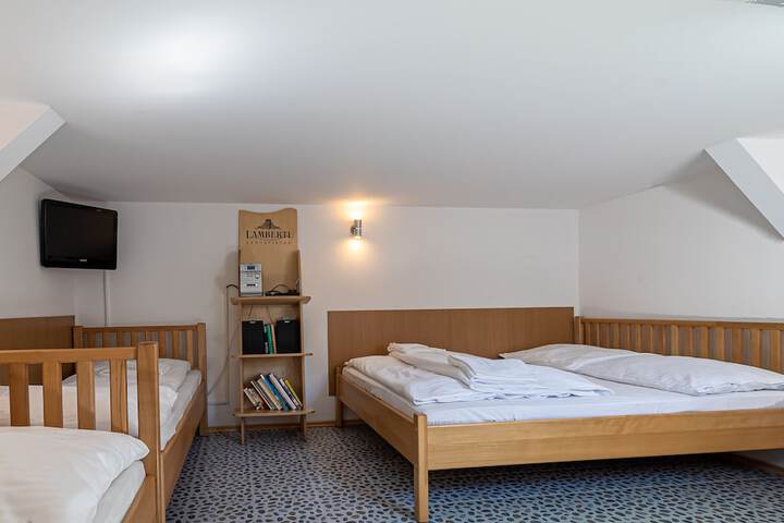 Room 7 of 197