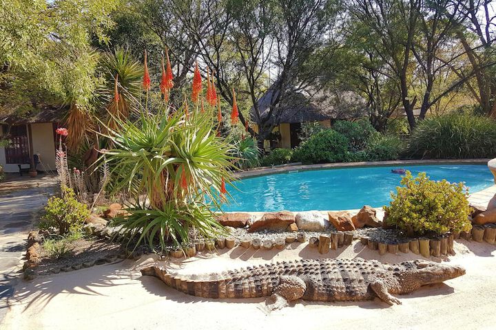 Pools & Facilities