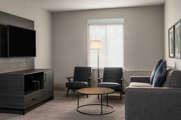 Standard King Bed Sofa (18 of 18)