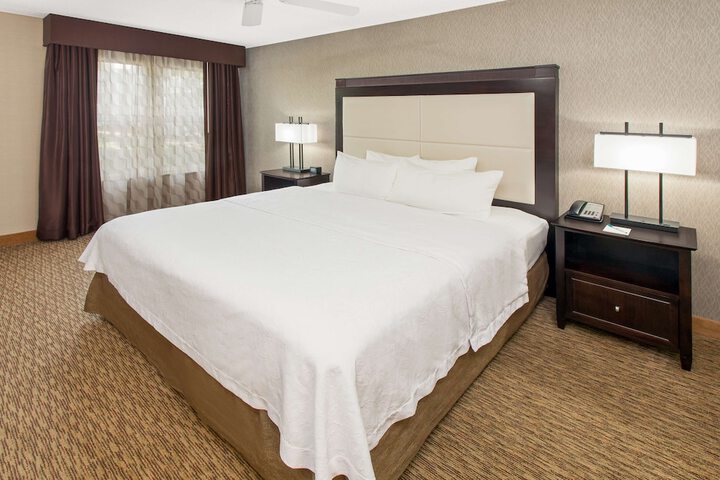 1 King Bed 1 Bedroom Suite (38 of 42)