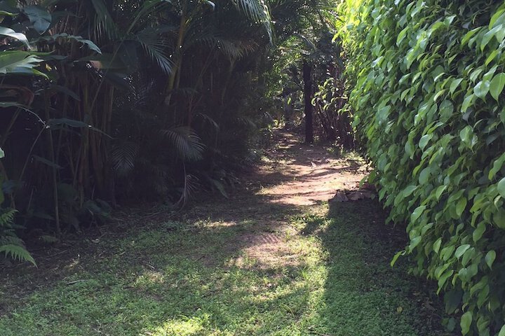 Property Grounds 370 of 487
