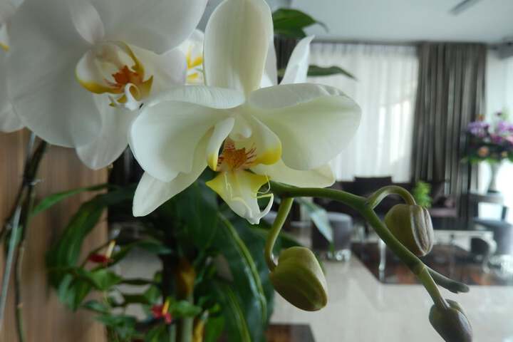 Hotel Interior 2 of 58