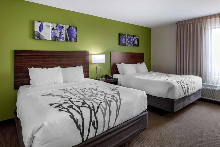 2 Queen Beds (2 of 10)