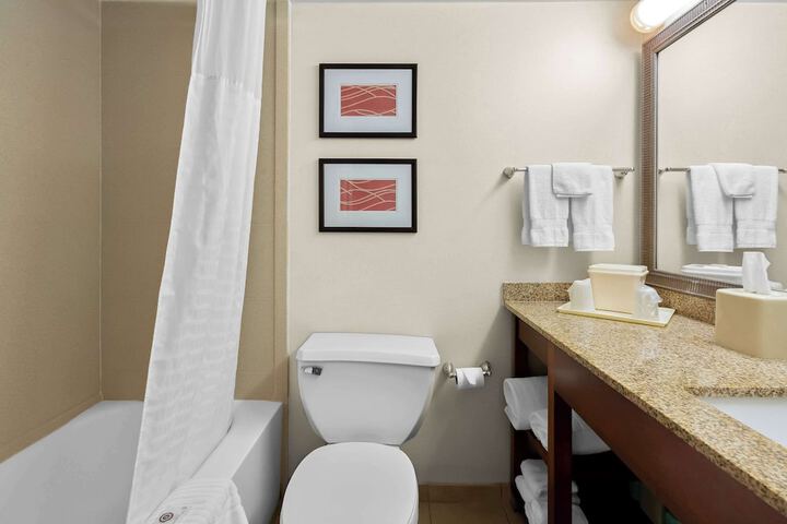Standard Room, King or Two Doubles (3 of 9)