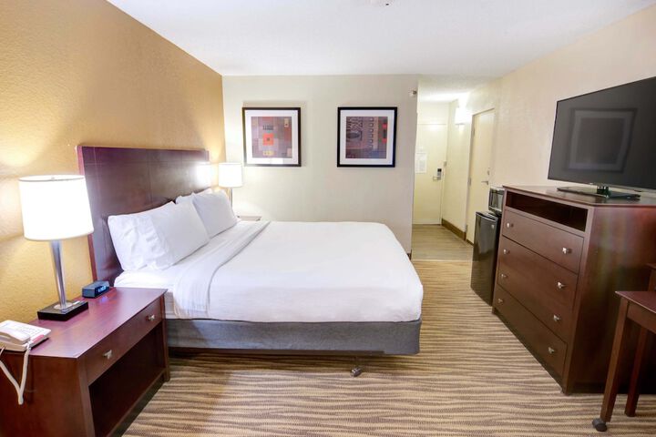 1 King Bed (8 of 19)