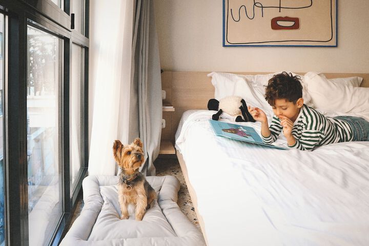 Pet Friendly 50 of 59
