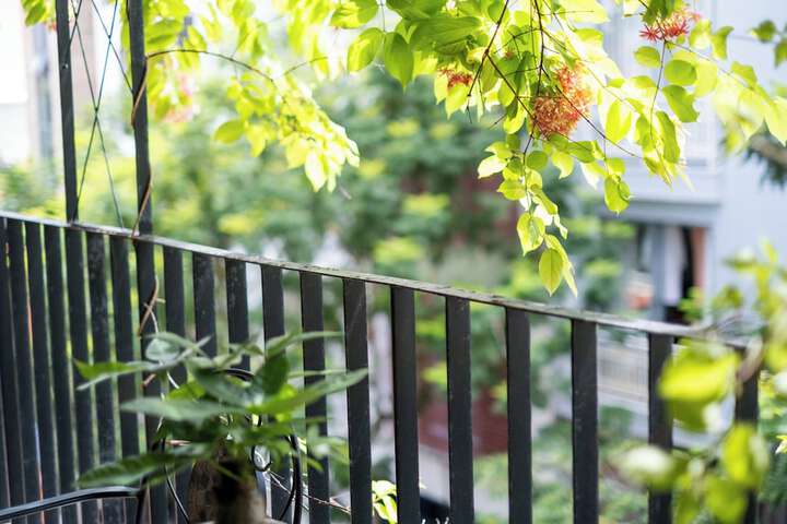 Terrace/Patio 6 of 6