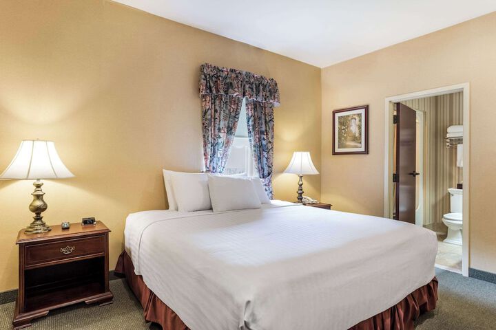 1 King Bed Accessible (7 of 37)