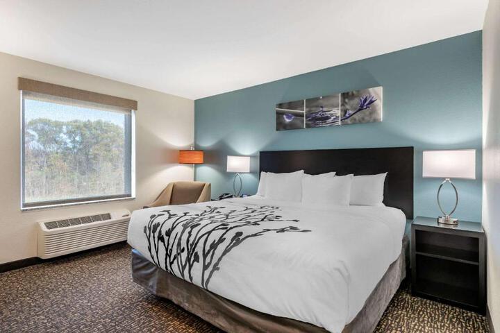1 King Bed (1 of 14)