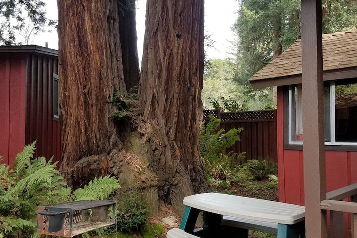 Terrace/Patio 246 of 329