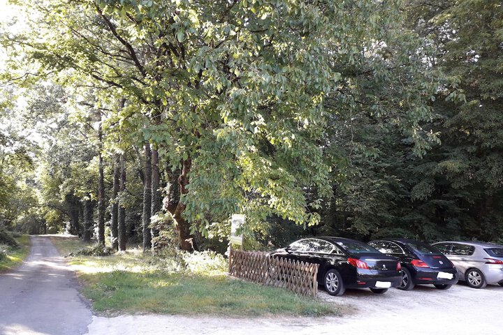 Property Grounds 3 of 16