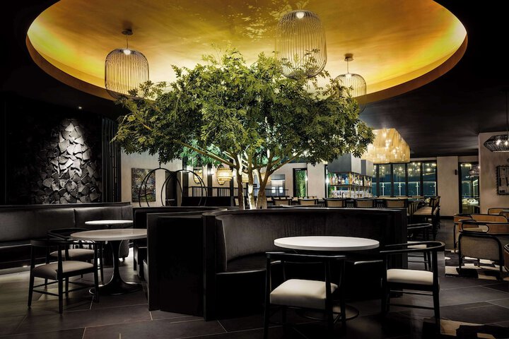 Lounge 50 of 57