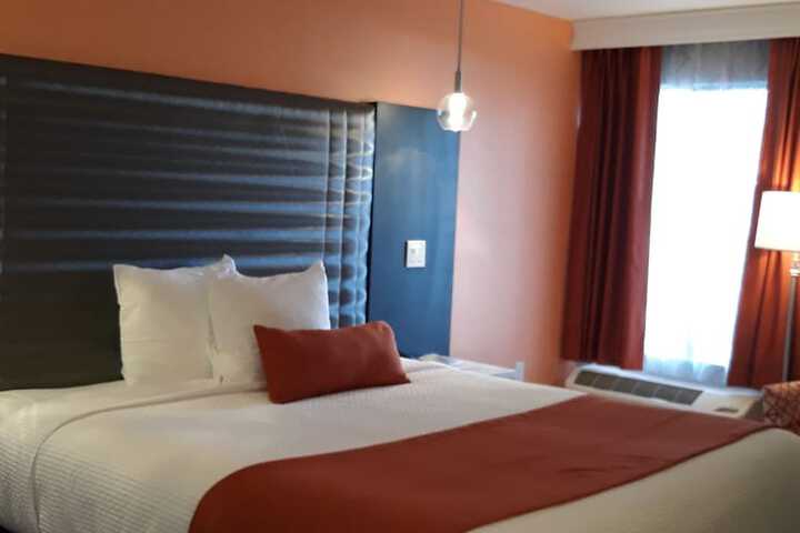 Standard King Bed Pet Friendly (7 of 8)