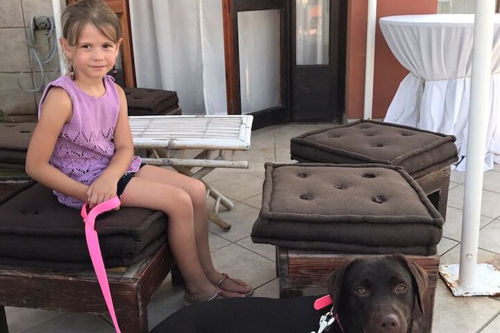 Pet-friendly