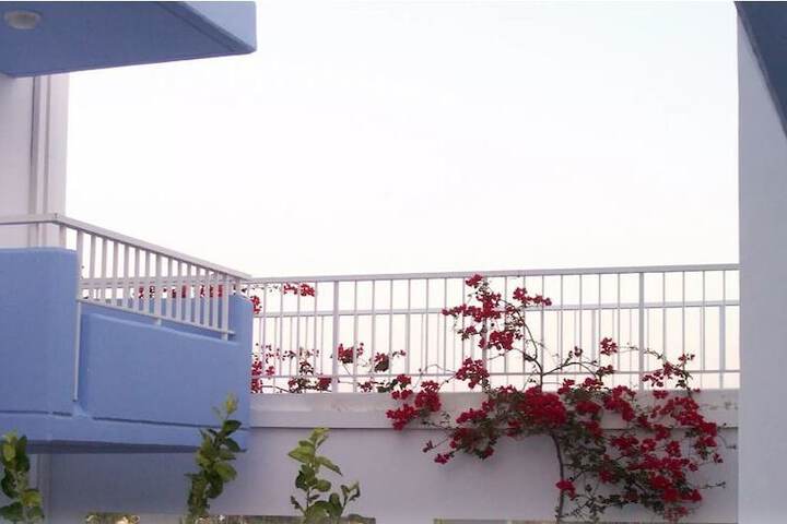 Terrace/Patio 4 of 6