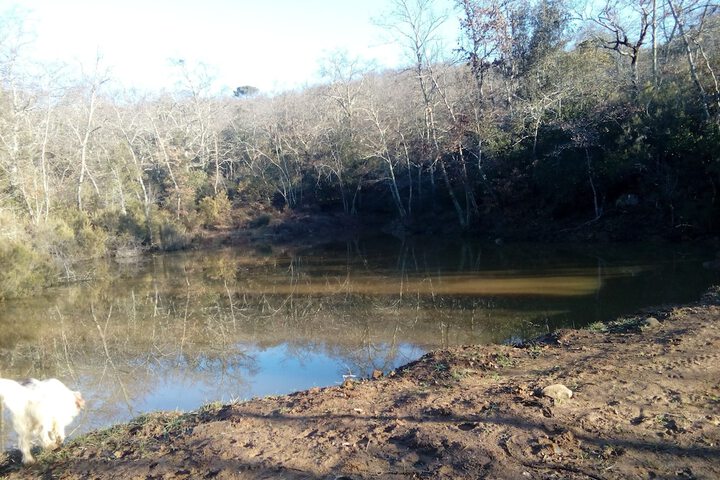 Property Grounds 46 of 58