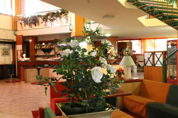 Lounge 22 of 31