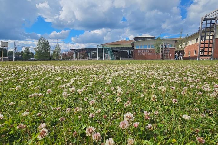 Children's play area - outdoor