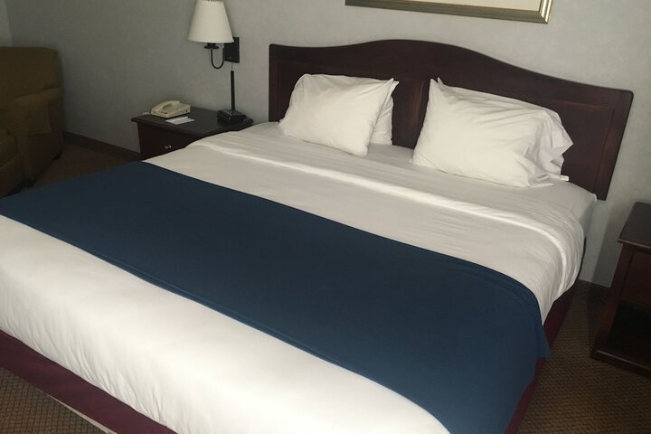 1 King Bed (1 of 6)