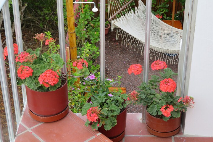 Terrace/Patio 61 of 76