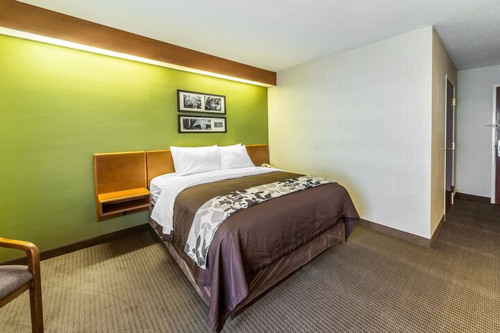 1 King Bed (11 of 15)