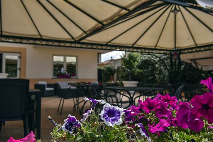 Lounge 41 of 58