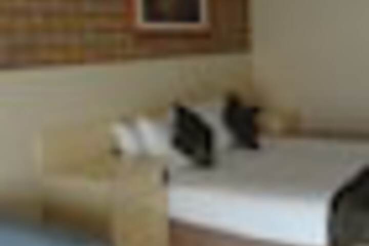 Room 20 of 60